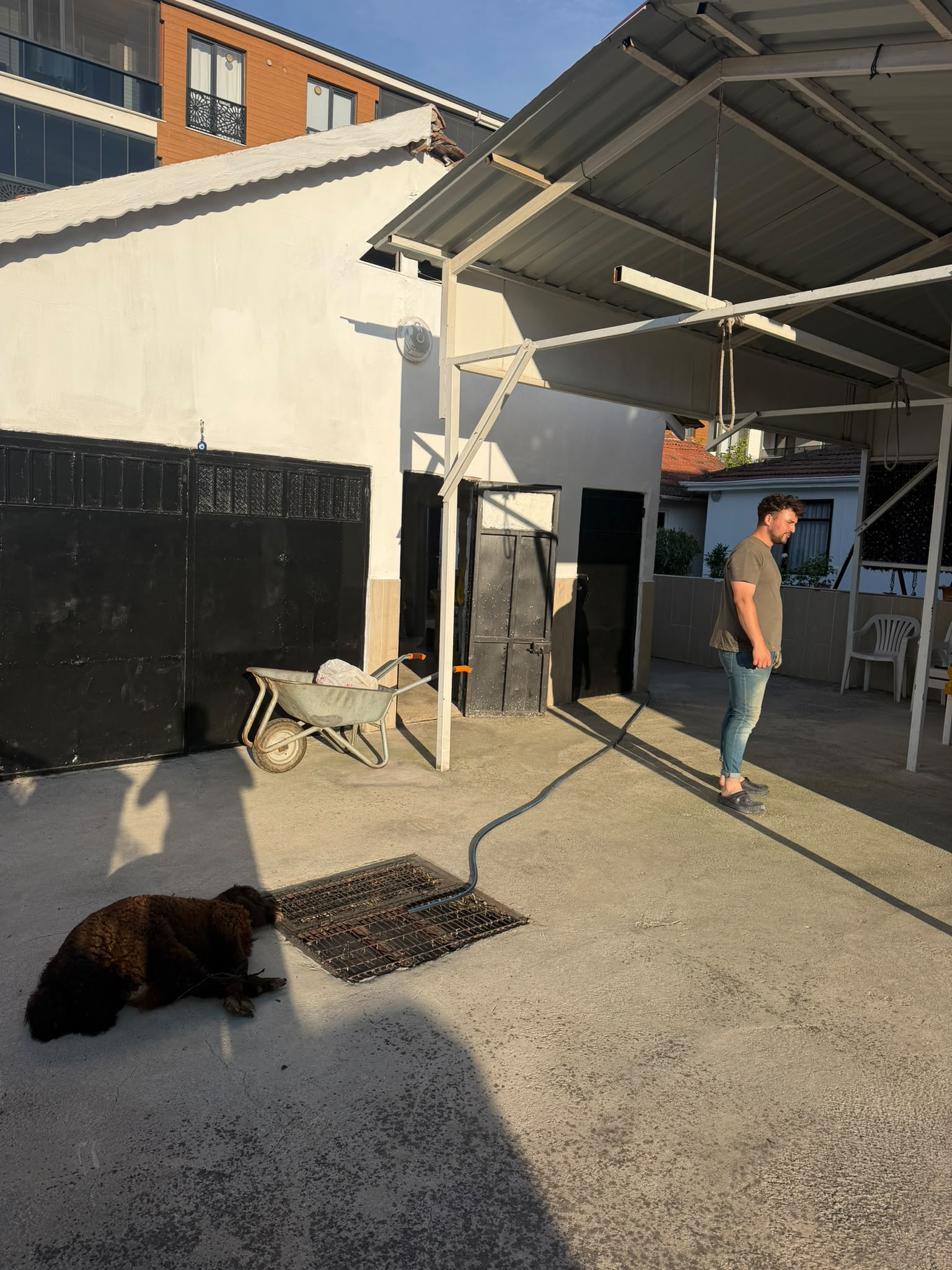 Yalova Elgin Adaklık ve Kurbanlık çiftliğinden galeri görseli 5